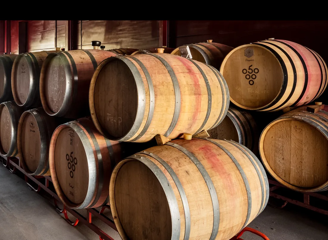 Oak barrels on racks in the Quinta do Palato cellar, lots chalked on the heads