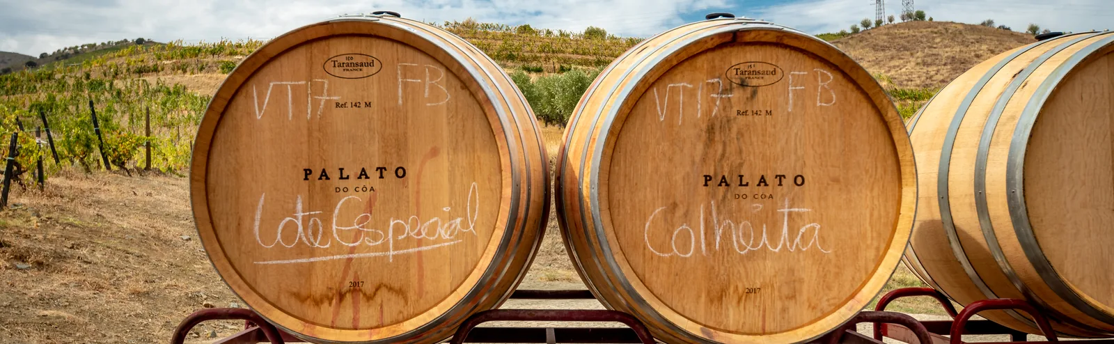 Two barrels with the lot chalked on the head, facing the vineyard
