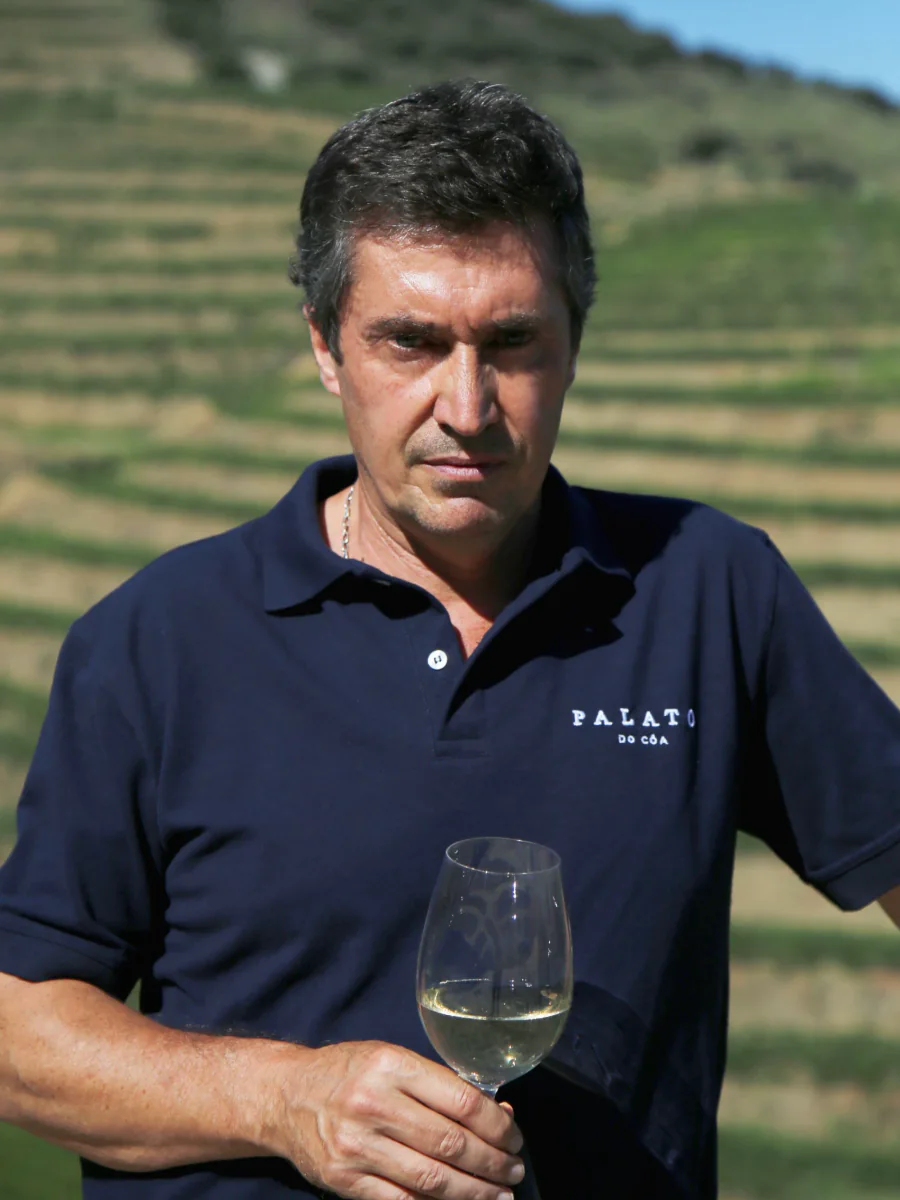 Carloto Magalhães diante das vinhas da Quinta do Palato