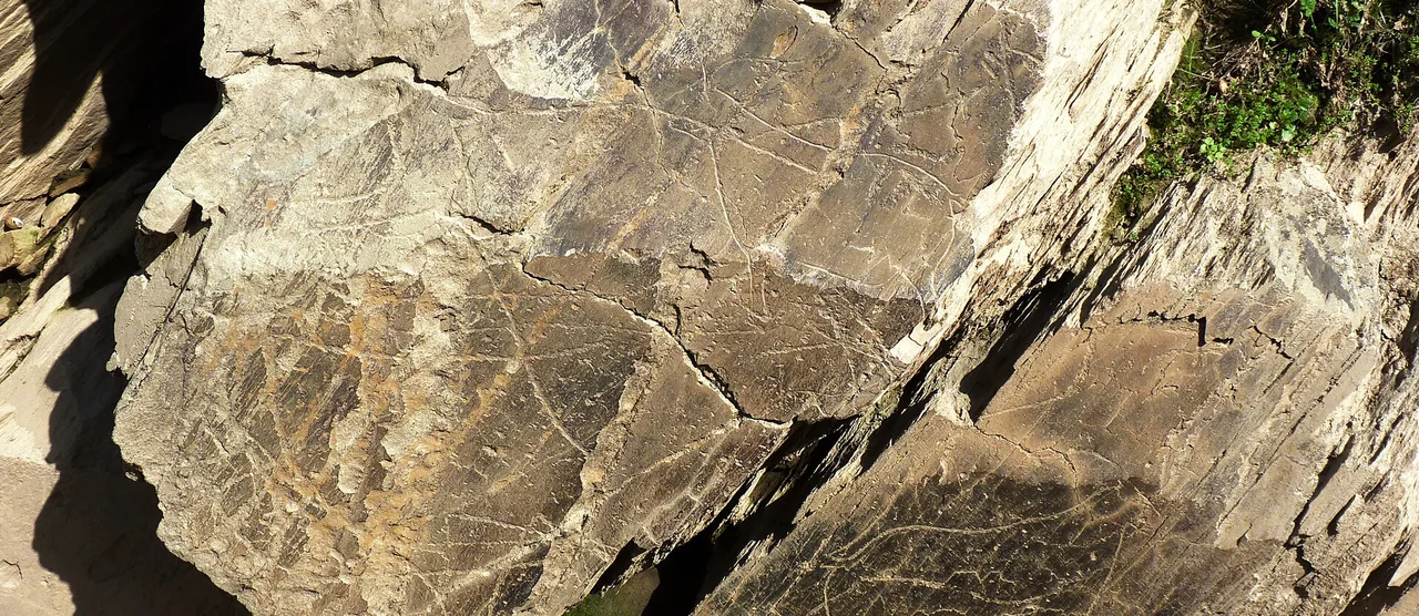 Painel de xisto gravado na Penascosa, na margem do rio Côa — Wikimedia Commons, CC BY-SA 3.0