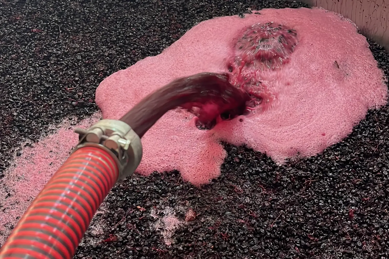 Remontagem do mosto sobre as películas durante a fermentação tinta