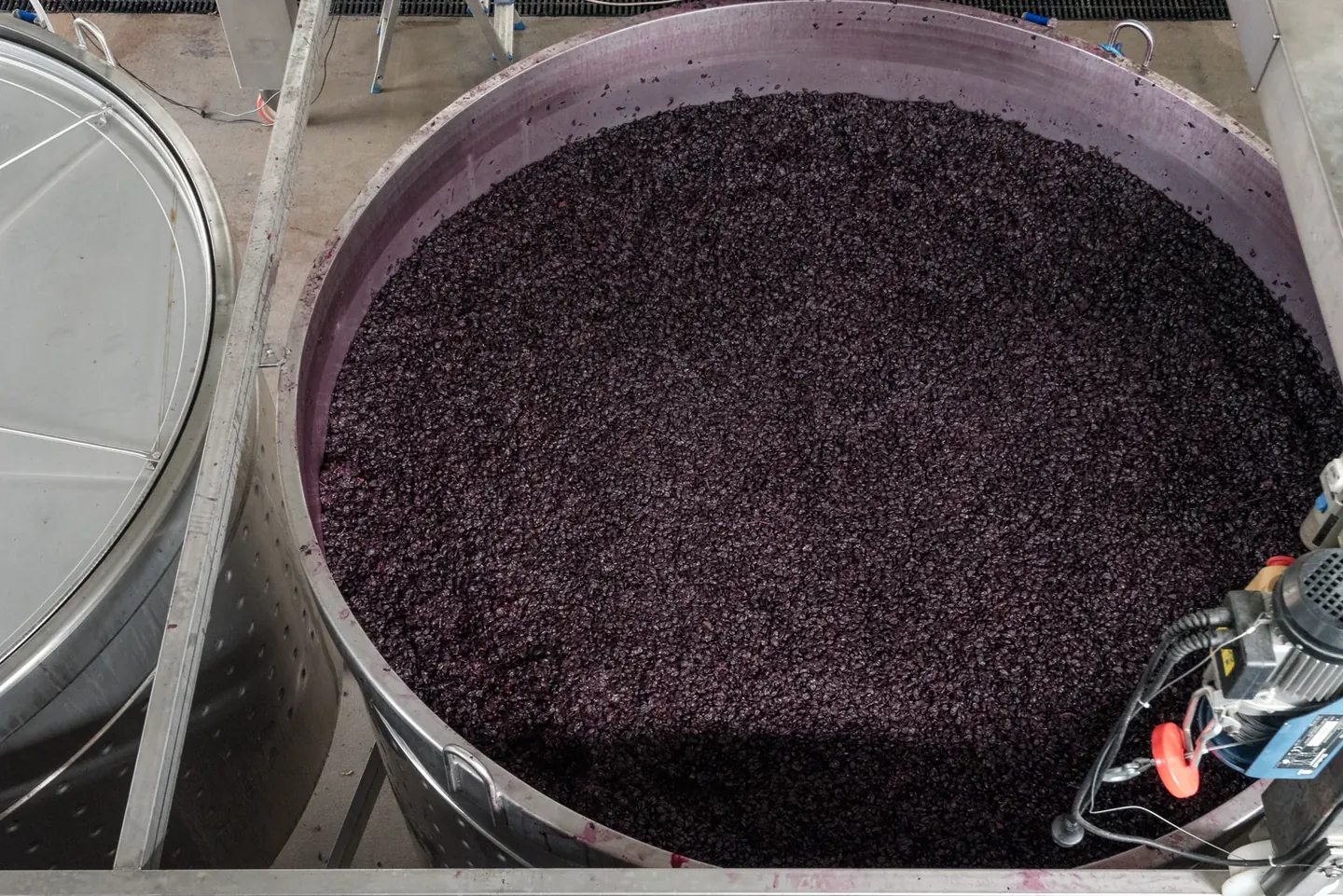 Red-wine fermentation vat seen from above