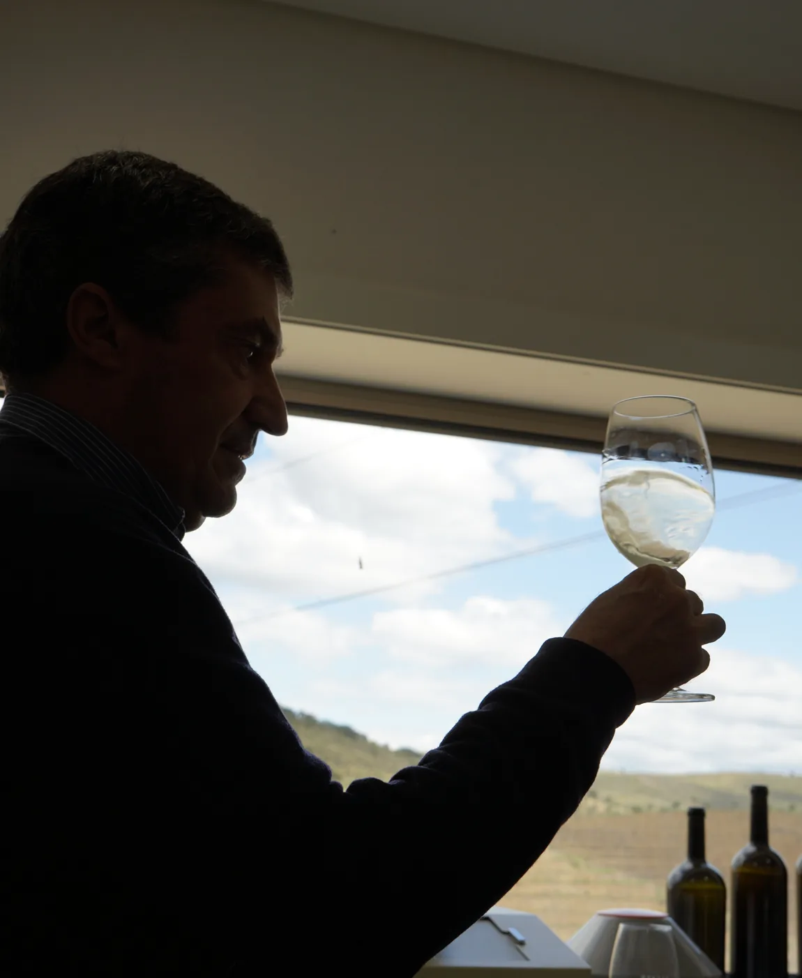 A glass of white held up to the window light, in silhouette