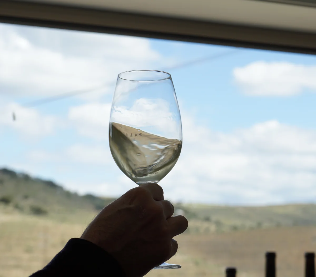A glass of white tilted against the window, the vineyard beyond