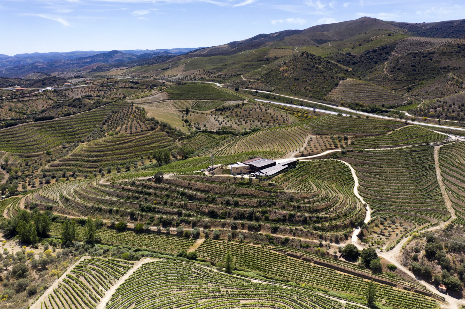Quinta do Palato